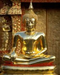 golden buddha